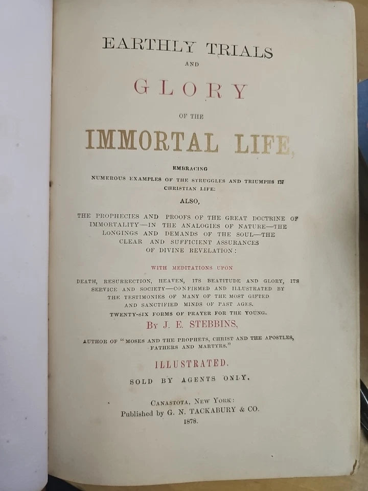 Earthly Trials and Glory of the Immortal Life By Stebbins First Edit. 1878