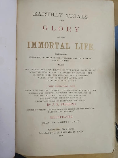 Earthly Trials and Glory of the Immortal Life By Stebbins First Edit. 1878