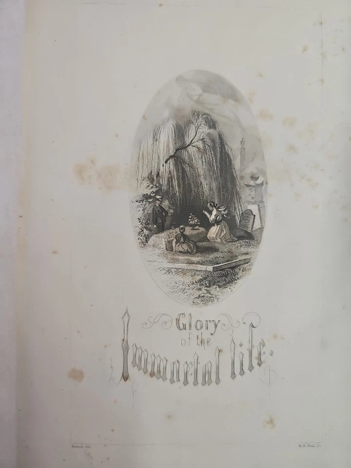 Earthly Trials and Glory of the Immortal Life By Stebbins First Edit. 1878