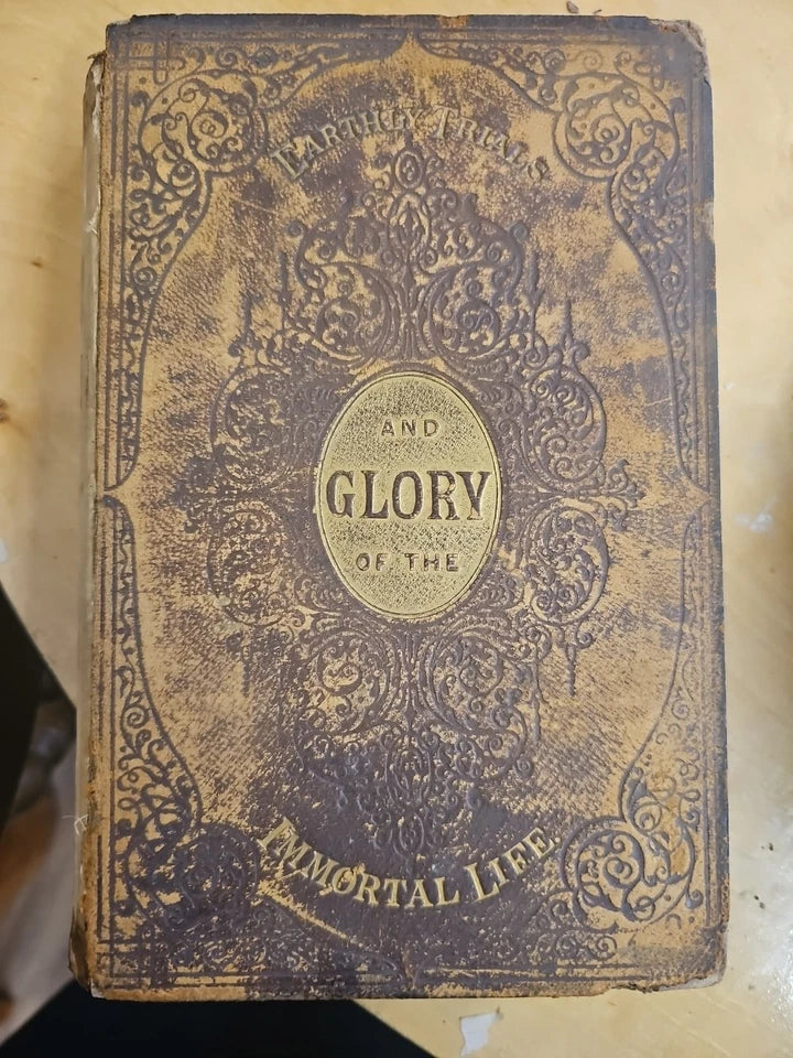 Earthly Trials and Glory of the Immortal Life By Stebbins First Edit. 1878